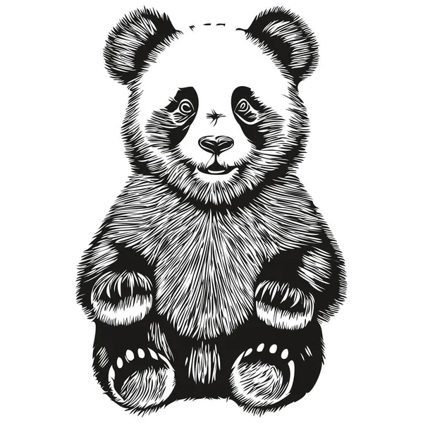 Divertido Dibujo Animado Panda Ilustración Arte Línea Boceto Tinta Panda — Vector de stock