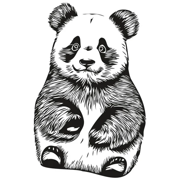 Dibujos Animados Dibujados Mano Panda Vector Vintage Ilustración Panda — Vector de stock