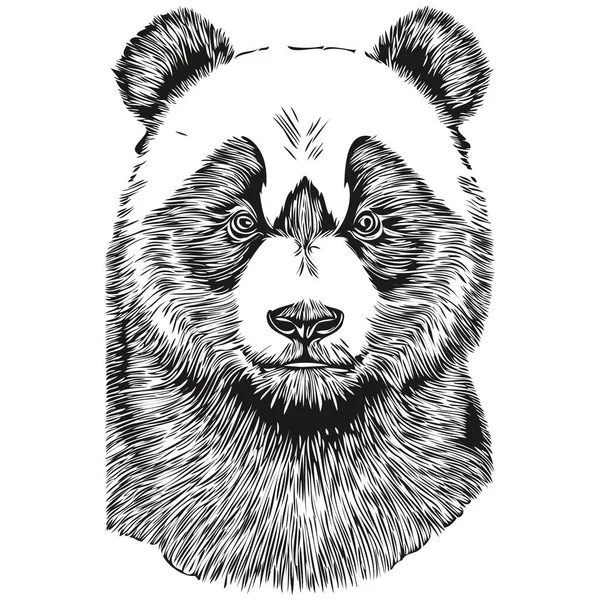 Handgetekende Panda Een Witte Achtergrond Panda — Stockvector