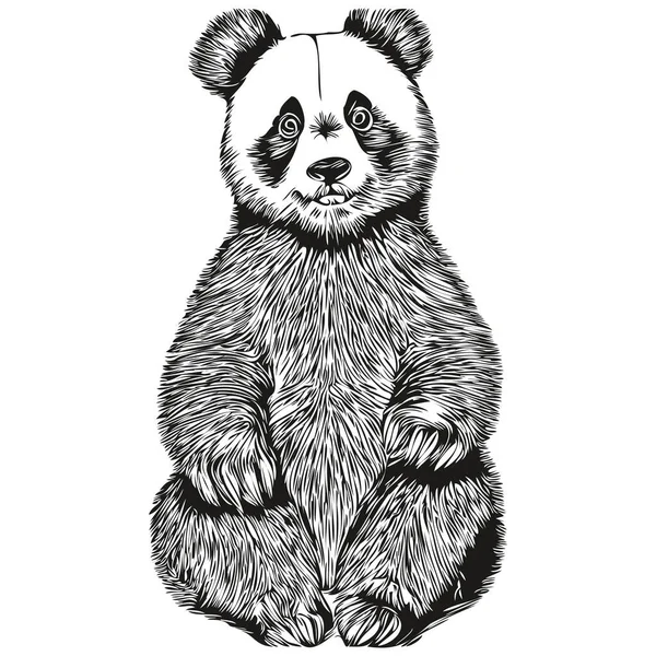 Panda Dibujado Mano Sobre Fondo Blanco Panda — Vector de stock