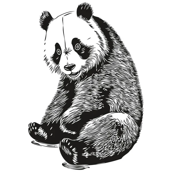 Ilustración Vintage Panda Arte Vectorial Blanco Negro Panda — Vector de stock