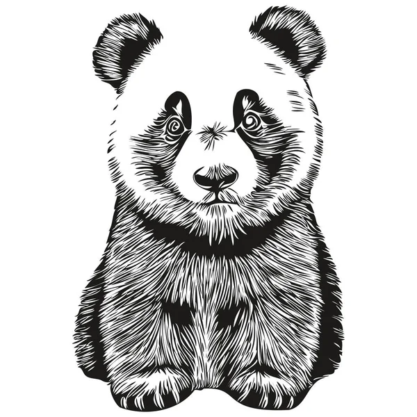 熊猫标志 黑白插图手绘熊猫 — 图库矢量图片