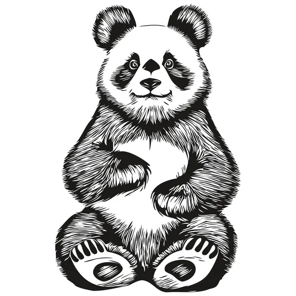 Panda Sketchy Graphic Portrait Panda White Background Panda — Stock Vector