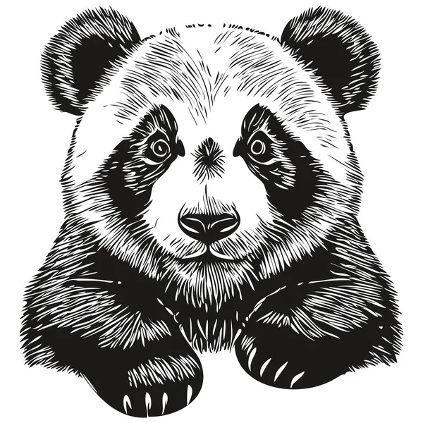 Desenho Animado Do Vetor De Rosto Do Panda Fofo De Impressão Ilustração do  Vetor - Ilustração de fundo, panda: 185503962