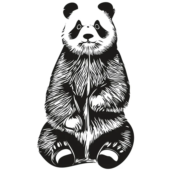 Vetores de Desenho Panda Rosto Padrão Perfeito Fundo Rosa Infantil Bonito  Com Rosto De Urso Panda Kawaii E Folhas De Bambu e mais imagens de Panda -  Mamífero de quatro patas - iStock