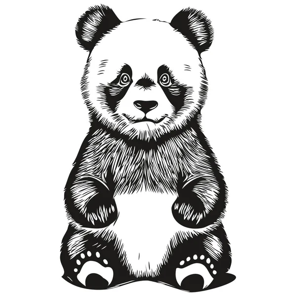 Panda Vector Ilustración Línea Arte Dibujo Blanco Negro Pandas — Vector de stock