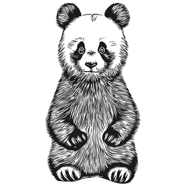 Realistische Panda Vektor Handgezeichnete Tier Illustration Panda — Stockvektor