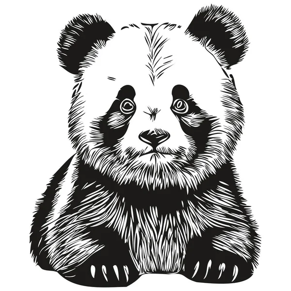 Dibujo Pintura Lineal Blanco Negro Panda Vector Ilustración Panda — Vector de stock