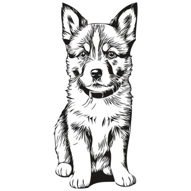 Yavru köpek skeci, vahşi yaşamın el çizimi, klasik oyma tarzı, vektör illüstrasyon köpek yavrusu.