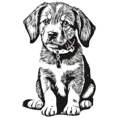 Şirin el çizimi köpek yavrusu, vektör çizimi siyah beyaz köpek yavrusu.