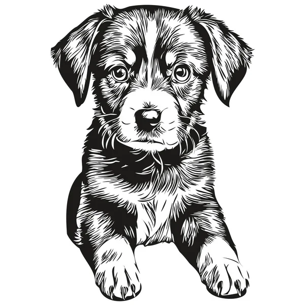 子犬のスケッチ 白い背景の子犬のグラフィックポートレート — ストックベクタ