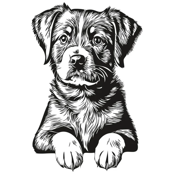 Puppy Schetsmatig Grafisch Portret Van Een Pup Een Witte Achtergrond — Stockvector