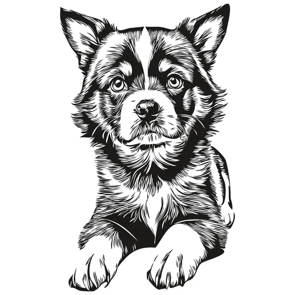 Cachorrinho Esboçado Retrato Gráfico Cachorro Fundo Branco Cachorros — Vetor de Stock