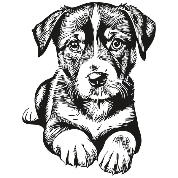 Cachorro Incompleto Retrato Gráfico Cachorro Sobre Fondo Blanco Cachorros — Vector de stock