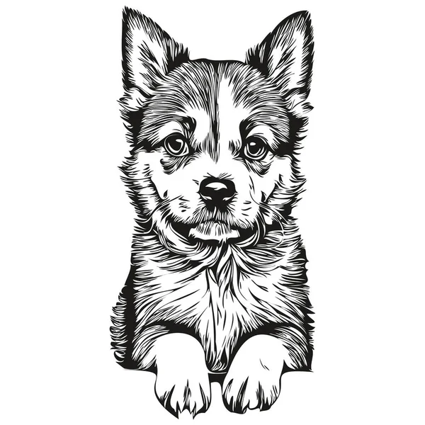 stock vector puppy sketchy, graphic portrait of a puppy on a white background, puppies