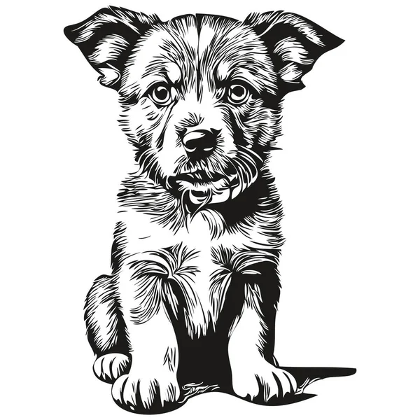 Cachorrinho Esboçado Retrato Gráfico Cachorro Fundo Branco Cachorros — Vetor de Stock