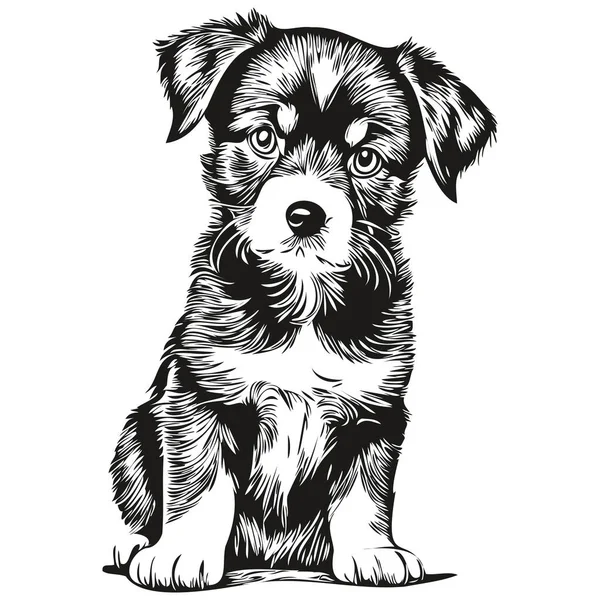 Cachorro Vector Ilustración Línea Arte Dibujo Negro Blanco Cachorro — Vector de stock