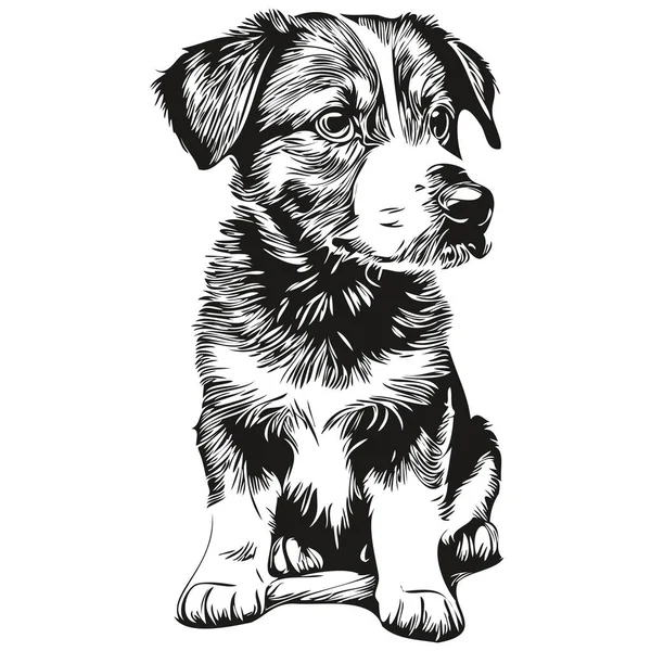 Cachorro Vector Ilustración Línea Arte Dibujo Blanco Negro Cachorros — Vector de stock