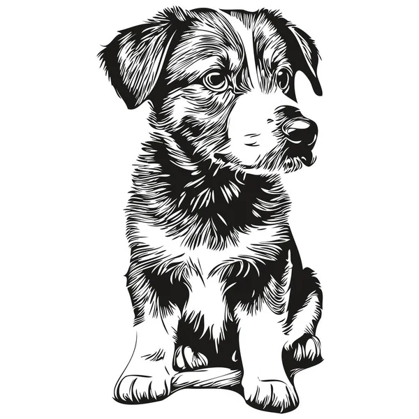 Köpek vektörü çizim çizgisi siyah beyaz köpek yavruları çiziyor