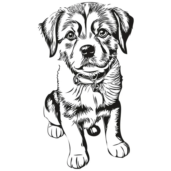 Puppy Sketchy Graphic Portrait Puppy White Background Puppie — Διανυσματικό Αρχείο