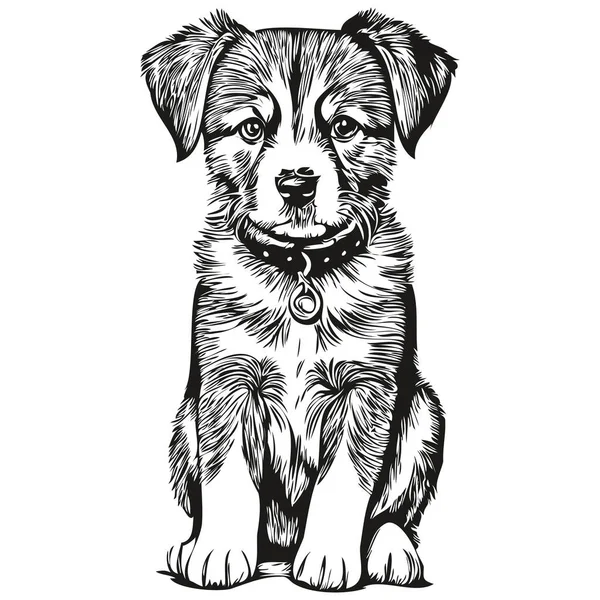 Cachorro Incompleto Retrato Gráfico Cachorro Sobre Fondo Blanco Cachorro — Vector de stock