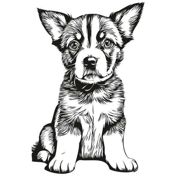Puppy Sketch Hand Drawing Wildlife Vintage Engraving Style Vector Illustration — Stock Vector