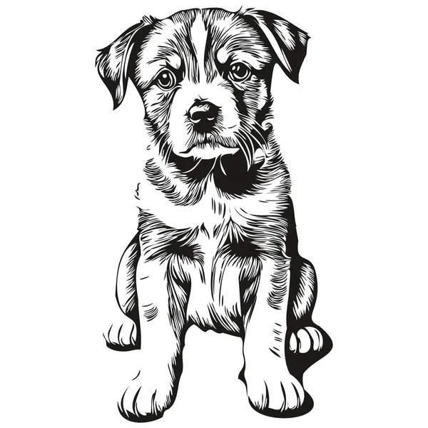 子犬のロゴ 黒と白のイラストハンドドローイング子犬 — ストックベクタ