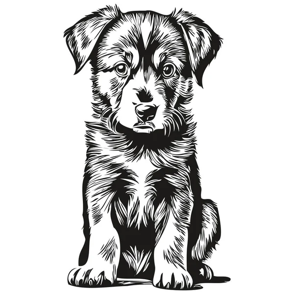 Bocetos Cachorro Contorno Con Fondo Transparente Ilustración Dibujada Mano Cachorro — Vector de stock