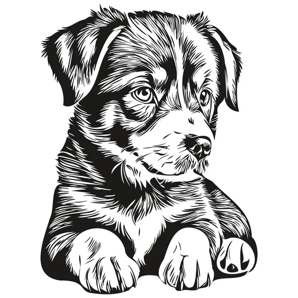 Puppy Logo Black White Illustration Hand Drawing Puppie — Stock Vector