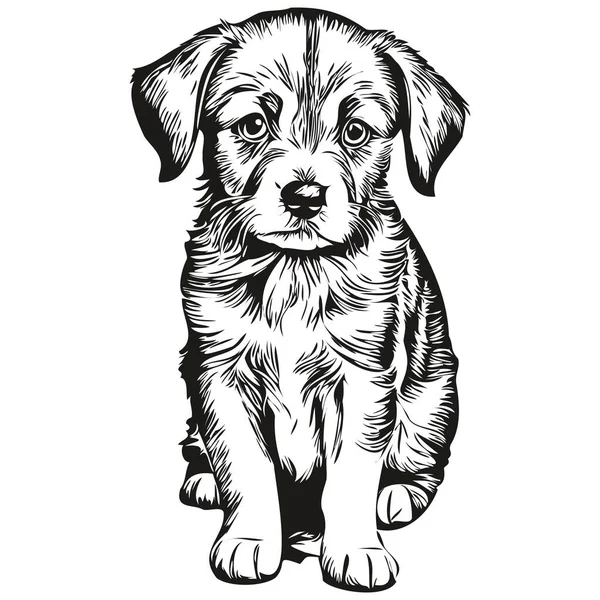 Puppy Vintage Illustration Black White Vector Art Puppie — Διανυσματικό Αρχείο