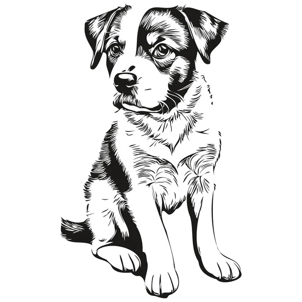 Cachorro Dibujado Mano Sobre Fondo Blanco Cachorro — Vector de stock
