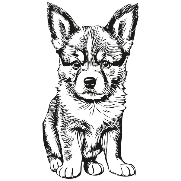 Hand Drawn Cartoon Puppy Vector Vintage Illustration Puppie — Stock Vector