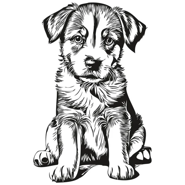 Dibujado Mano Cachorro Dibujos Animados Vector Vintage Ilustración Cachorro — Vector de stock