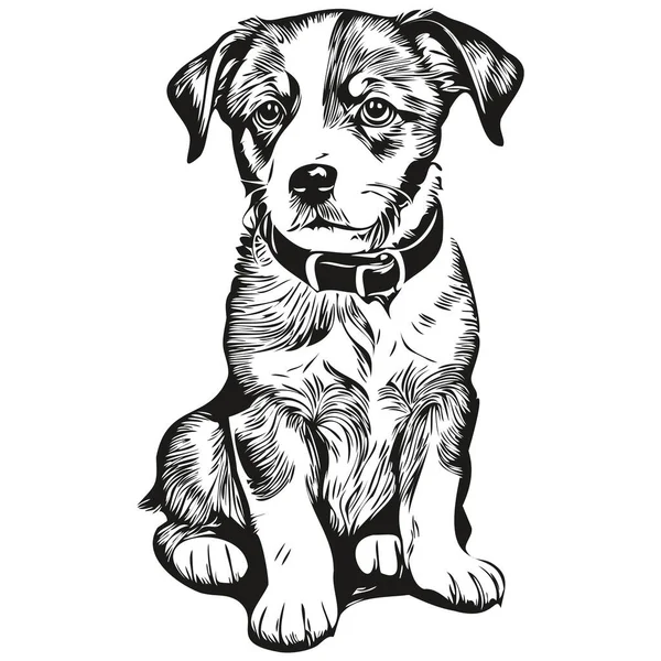 Grabar Ilustración Cachorro Estilo Dibujo Mano Vintage Cachorro — Vector de stock