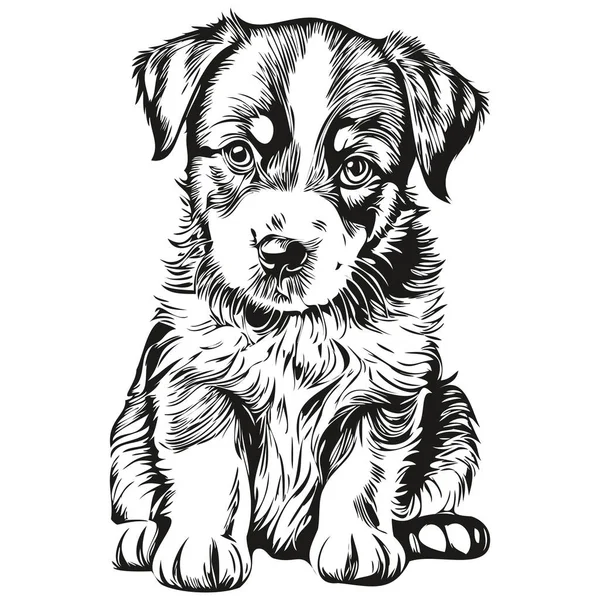 Divertido Cachorro Dibujos Animados Línea Arte Ilustración Tinta Boceto Cachorro — Vector de stock