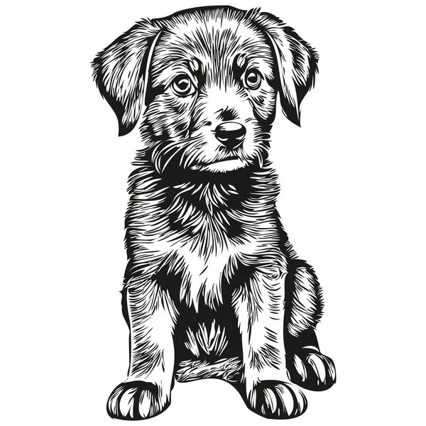 Cute Puppy White Background Hand Draw Illustration Puppie — Διανυσματικό Αρχείο
