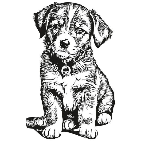 Beyaz arka planda sevimli köpek yavrusu, el çizimi illüstrasyon köpeciği.