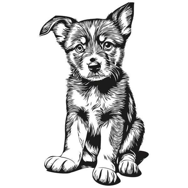 Cute Kids Hand Drawn Nursery Poster Puppy Animal Puppie — Stock Vector
