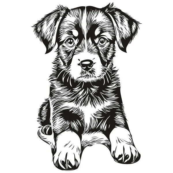 Şirin Çizimi Köpek Yavrusu Vektör Çizimi Siyah Beyaz Köpek Yavrusu — Stok Vektör