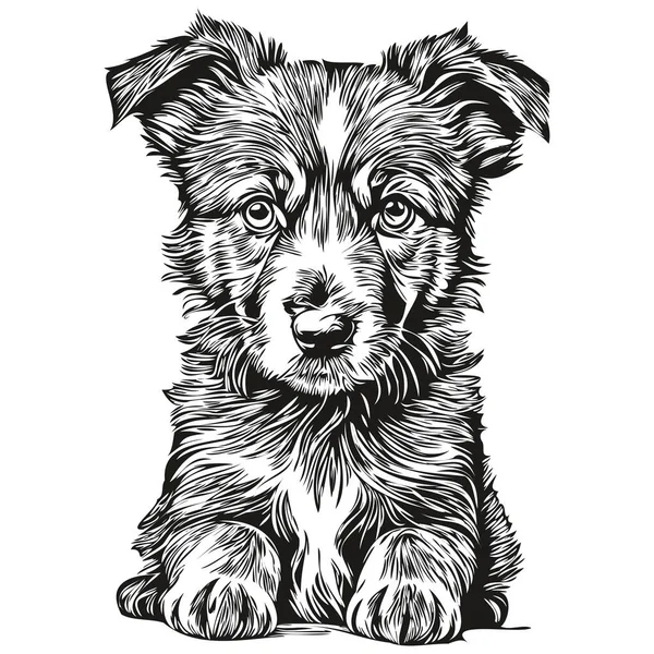 Blanco Negro Pintura Lineal Dibujar Cachorro Vector Ilustración Cachorro — Vector de stock