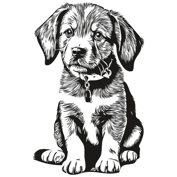 Lindo Cachorro Dibujado Mano Vector Ilustración Cachorro Blanco Negro — Vector de stock