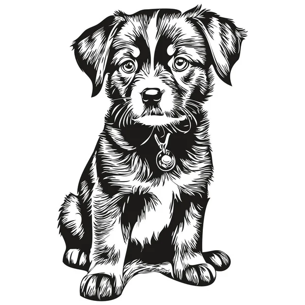 ヴィンテージ彫刻孤立した子犬イラストカットインクスケッチ子犬 — ストックベクタ