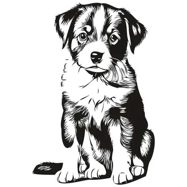 白い背景に子犬のシルエットのベクトル画像 — ストックベクタ