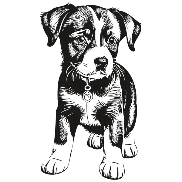 Vector Realista Cachorro Animal Dibujado Mano Ilustración Cachorro — Vector de stock
