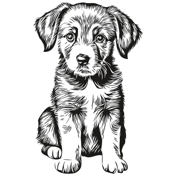 ヴィンテージ彫刻孤立した子犬イラストカットインクスケッチ子犬 — ストックベクタ