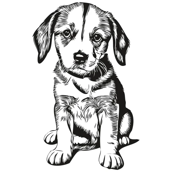 Kresba pes stock fotografie, royalty free Kresba pes obrázky | Depositphotos