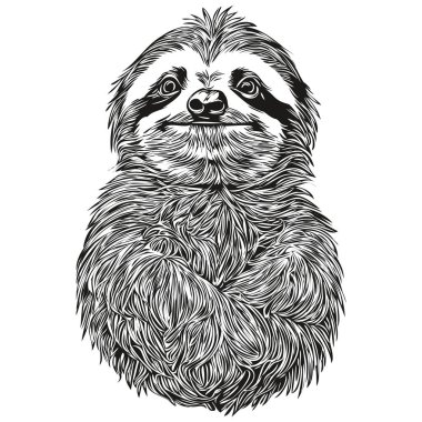 Beyaz bir arkaplana el çizimi Tembel.