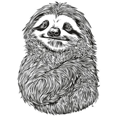 Komik çizgi film Sloth, çizgi resim çizimi mürekkep çizimi Sloth