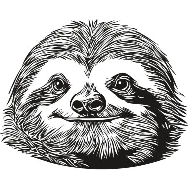 Sevimli çocuklar el çizimi bebek odası posteri ve Tembel Hayvan