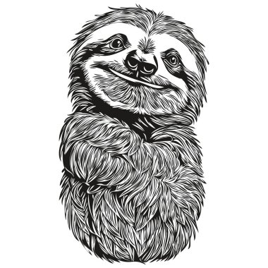 Sevimli el çizimi Tembel, vektör çizimi siyah ve beyaz Tembel.